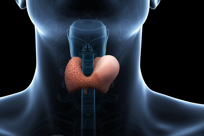 Otorrino en Mérida, afecciones de faringe y laringe